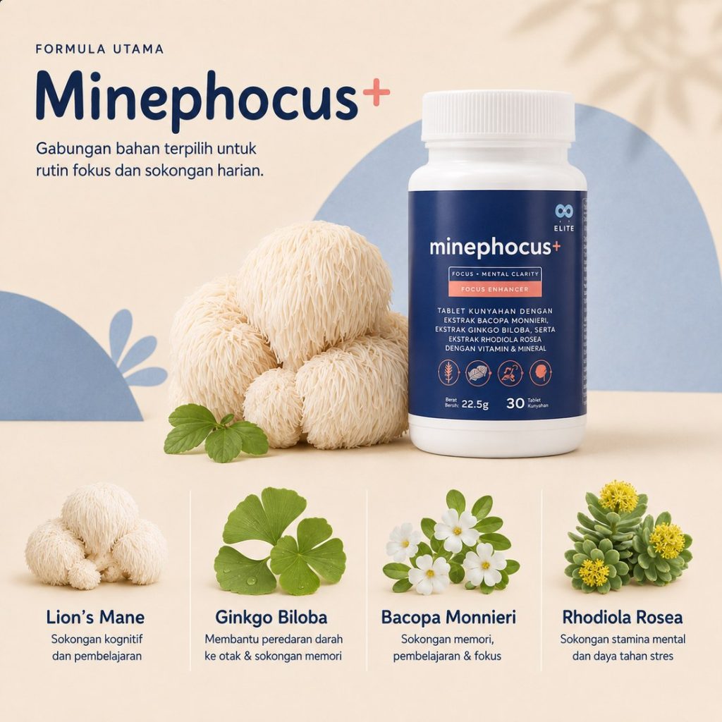 Minephocus+ 3
