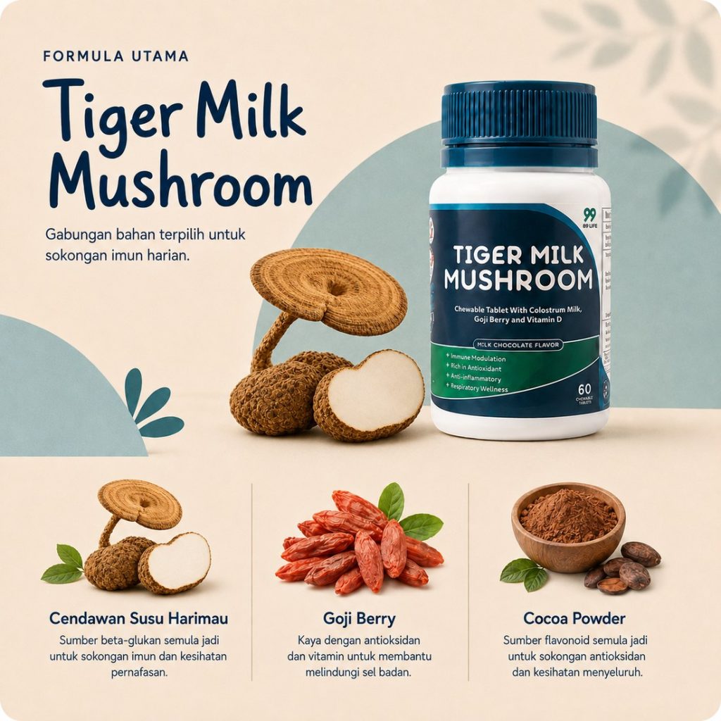 Tiger Milk Mushroom 3