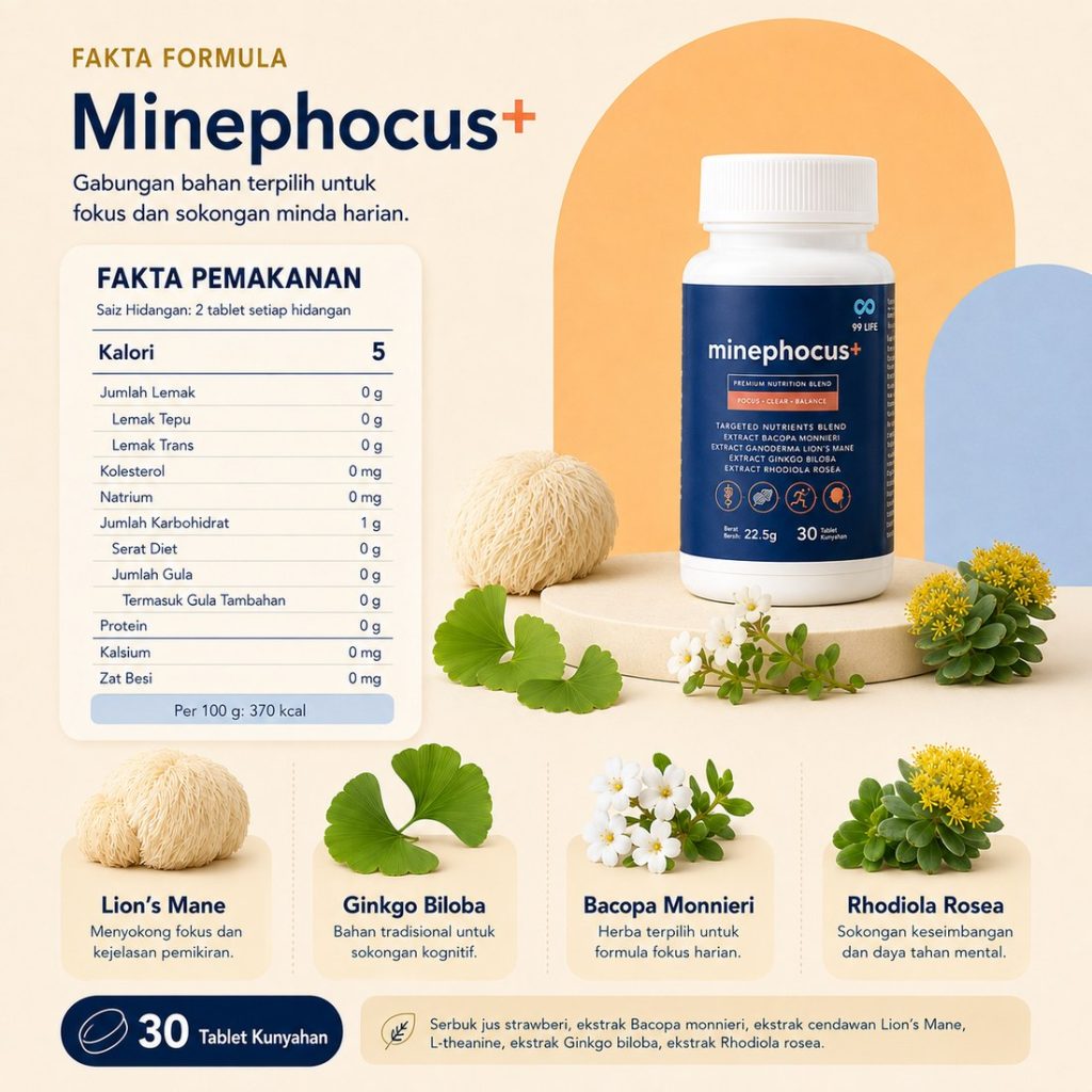 Minephocus+ 4